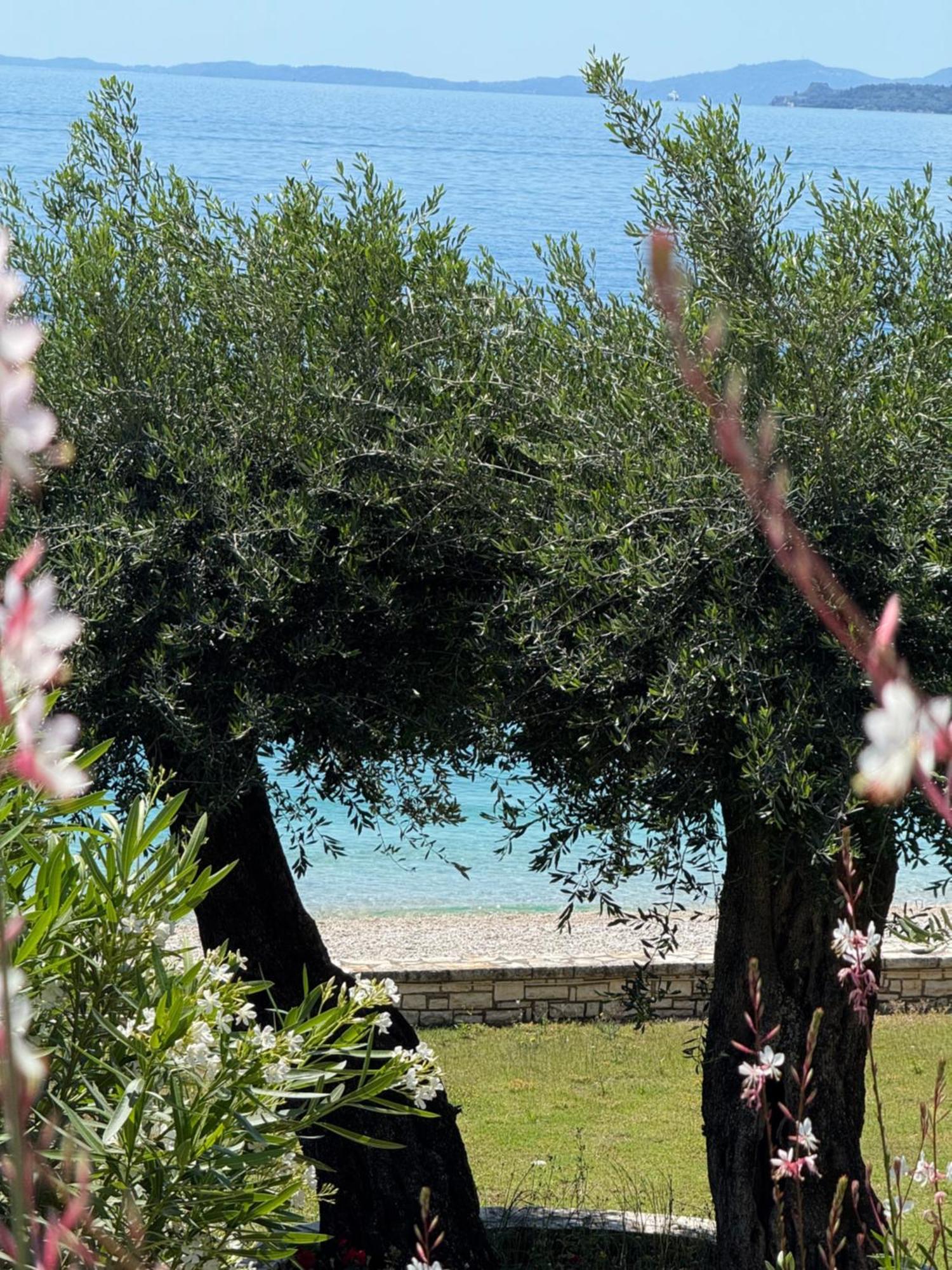 Nissaki Bay Διαμέρισμα Νησάκι Εξωτερικό φωτογραφία