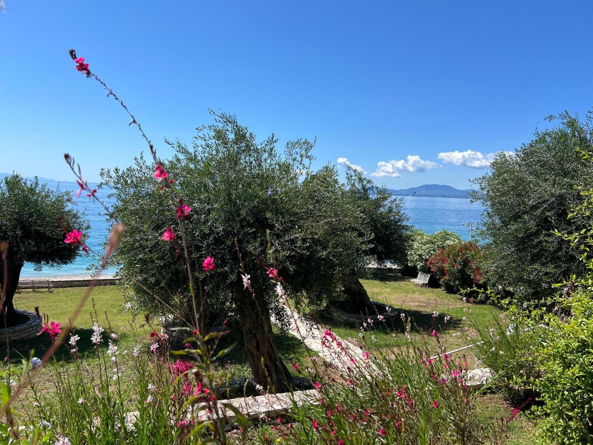 Nissaki Bay Διαμέρισμα Νησάκι Εξωτερικό φωτογραφία